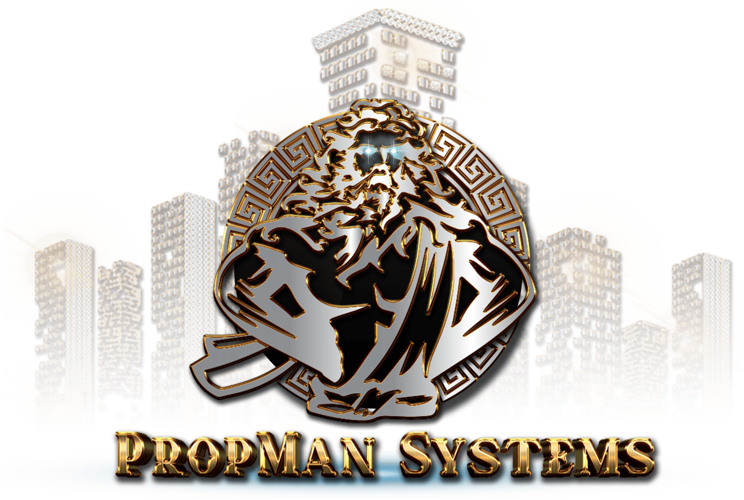 PROPMAN2BUYER3DPNG The image shows the text "PROPMAN SYSTEMS" in white, bold, and capitalized letters on a black background.
